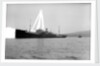 Photograph of 'War Hindoo' (1929), from Richard Perkins Collection by Richard Perkins