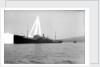 Photograph of 'War Hindoo' (1929), from Richard Perkins Collection by Richard Perkins