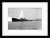 Photograph of 'War Hindoo' (1929), from Richard Perkins Collection by Richard Perkins