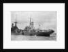 'Petronel' (Br, 1918) alongside 'Repulse' (Br, 1916) by unknown