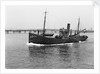 HMS 'Eddy' (1918) by Unknown