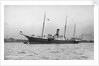 HMS 'Surprise' 1885 by Unknown