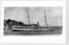 Photograph of 'Imogene'  circa 1914 by unknown