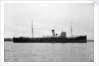 'Celerol' (Br, 1917) by unknown