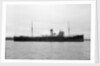 'Celerol' (Br, 1917) by unknown