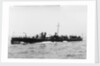 A port bow view of TB 81 (1885) by unknown