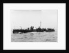 A port bow view of TB 81 (1885) by unknown