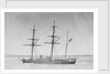 Wooden screw gun vessel HMS 'Woodlark' (1871) by unknown
