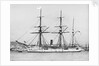 Wooden screw gun vessel HMS 'Woodlark' (1871) by unknown