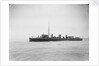 HMS 'Kangaroo' (1900) by unknown