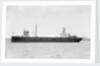 'Birchol' (Br, 1917) by unknown