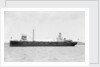 'Birchol' (Br, 1917) by unknown