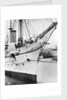 'Espeigle' (Br, 1900) at Sheerness by unknown