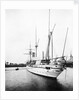 HMS 'Espiegle' (1900) by Unknown