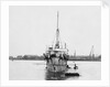 Torpedo gunboat HMS 'Plassey' (1890) anchored at Sheerness by unknown