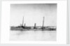 Torpedo gunboat HMS 'Plassey' (1890) anchored at Sheerness by Unknown