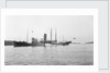 Fishery cruiser 'Muirchu' (Ih, 1908), ex 'Helga', with fishing vessels alongside by unknown