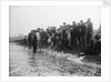 A catch coming ashore, somewhere on the south east coast, Tarry Adams Collection by unknown