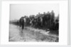 A catch coming ashore, somewhere on the south east coast, Tarry Adams Collection by unknown