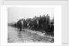 A catch coming ashore, somewhere on the south east coast, Tarry Adams Collection by unknown