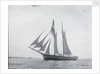 A port side view, taken from well ahead of the beam, of the two masted topsail by Unknown