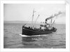 HMS 'Eddy' (1918) under way in Weymouth Bay by Unknown