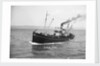 HMS 'Eddy' (1918) under way in Weymouth Bay by Unknown