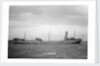 'Petroleum' (Br, 1902) by unknown