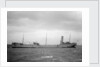 'Petroleum' (Br, 1902) by unknown