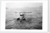 HMS 'Sopwith Schneider' (1915) by unknown