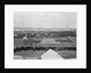 Harwich Force Sports Day, September 1916 by unknown