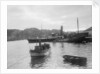 'Fusilier' (Br, 1888) paddle steamer (West coast of Scotland services), David MacBrayne Ltd by unknown