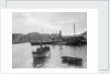 'Fusilier' (Br, 1888) paddle steamer (West coast of Scotland services), David MacBrayne Ltd by unknown