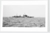 'Fiji' (1939) by Unknown