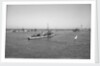 'Ierax' (1911) moored in Alexandria harbour by unknown