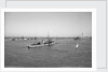 'Ierax' (1911) moored in Alexandria harbour by unknown