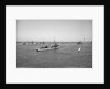 'Ierax' (1911) moored in Alexandria harbour by unknown