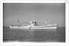 Photograph of 'Ramb IV' (1937) by unknown