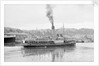 The 'Royal Iris' (Br, 1906) under way in Cork harbour, dressed overall by unknown