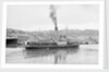 The 'Royal Iris' (Br, 1906) under way in Cork harbour, dressed overall by unknown