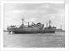 Photograph of cargo liner 'St. Essylt' (1948) in May 1955, under way on the River Thames at Tilbury, bound out in ballast by unknown