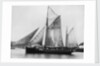 The pilot ketch 'Vigilant' by unknown
