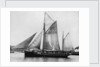 The pilot ketch 'Vigilant' by unknown