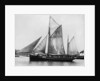 The pilot ketch 'Vigilant' by unknown