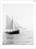 Pilot No. 10 (Br, 1852) under sail by unknown