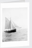Pilot No. 10 (Br, 1852) under sail by unknown