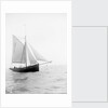 Pilot No. 10 (Br, 1852) under sail by unknown