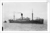 Photograph of the ship HMS Laomedon (1912) by unknown
