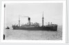 Photograph of the ship HMS Laomedon (1912) by unknown