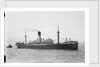 Photograph of the ship HMS Laomedon (1912) by unknown